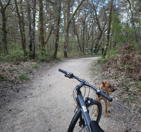 Petit tour de center parc par l'extérieur - Chaumont-sur-Tharonne - 1