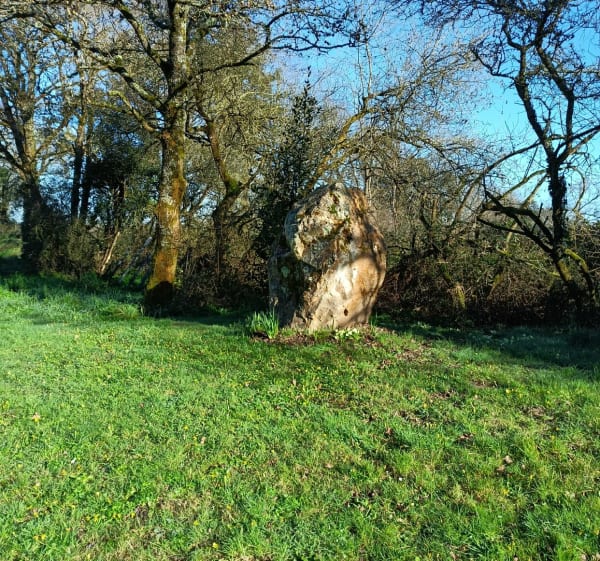 Campagne St Père Chauvé - Saint-Père-en-Retz - 1
