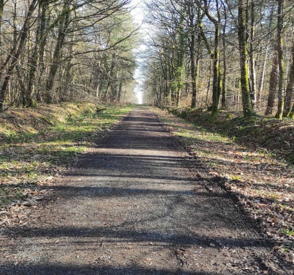 Promenade autour de la Drôme - Balleroy-sur-Drôme - 1