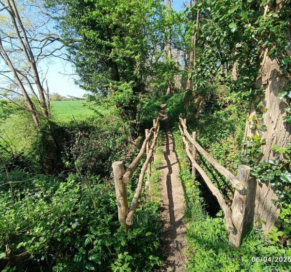 Autour du Loroux - Saint-Julien-de-Concelles - 1