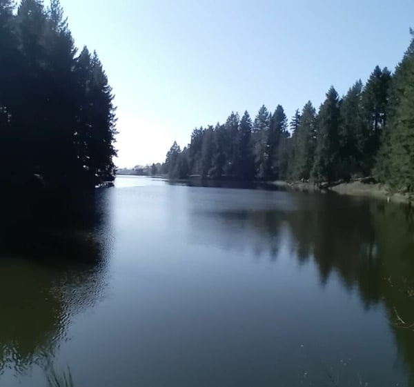 Saint-Symphorien sur Coise, barrage de la Gimond et château - Saint-Symphorien-sur-Coise - 1