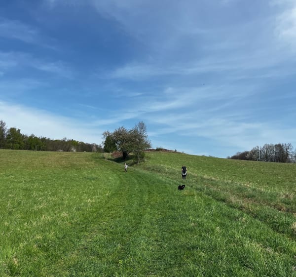 Zagórze - Złoty Las - Zagórze - Zagórze Śląskie - 1