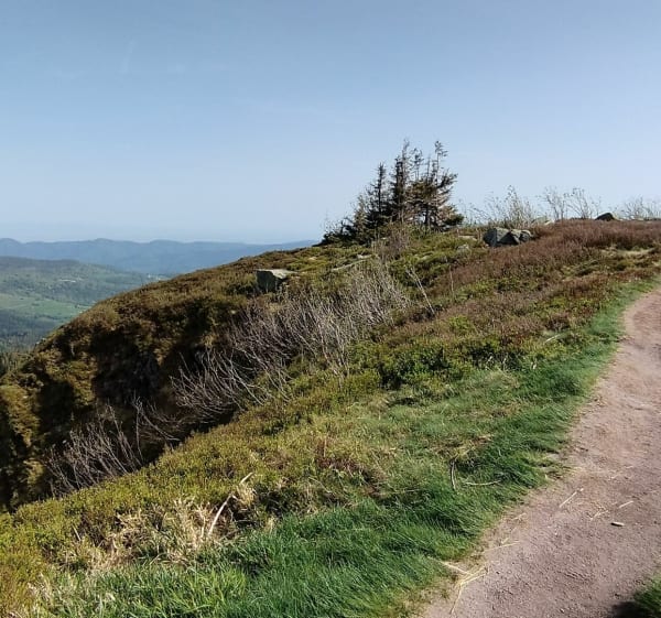 Balade de 3 Lacs et un panorama sur l'Alsace et les Vosges - Le Valtin - 1