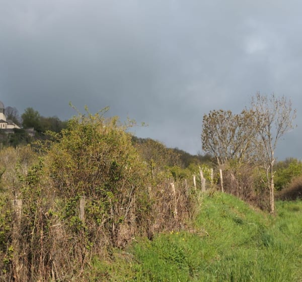 Boucles Vodable, Ronzières et vue panoramique - Vodable - 1