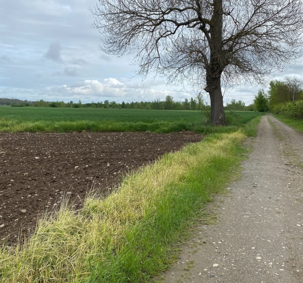Balade à côté des Martailles - Les Martres-d'Artière - 1