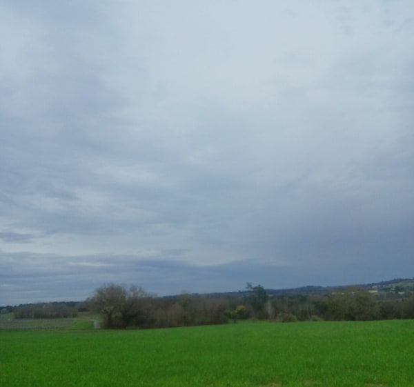 Balade entre champ et forêt a Boisredon - Boisredon - 1