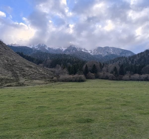 Tour du marais du Roy - Breuil-Magné - 1