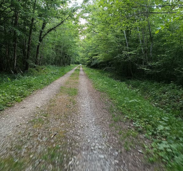 Autour de Farges-lès-Chalon et Forêt du Chalonnais à vélo - Farges-lès-Chalon - 1