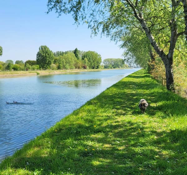 Robecq champs et canal - Robecq - 1