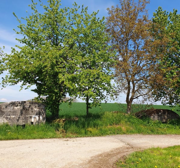 Balade entre Hirsingue et Hirtzbach - Hirsingue - 1