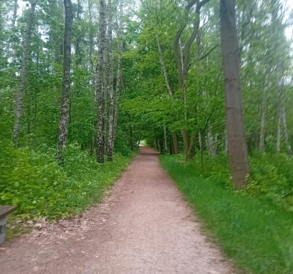 Częstochowa- Północ i Tysiąclecie - Częstochowa - 1