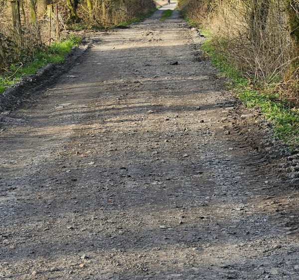 Randonnée autour de Bachy et Bois des Prêtres - Bachy - 1