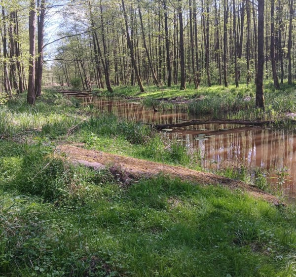 W poszukiwaniu starych szlaków - Lubsko - 1