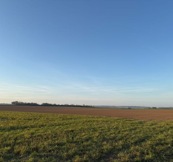 5km autour de Campigneulles-les-Grandes - Campigneulles-les-Grandes - 1
