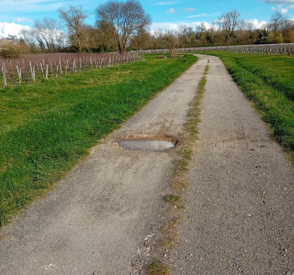 Belle balade autour de Vignonet par Lavagnac - Vignonet - 1