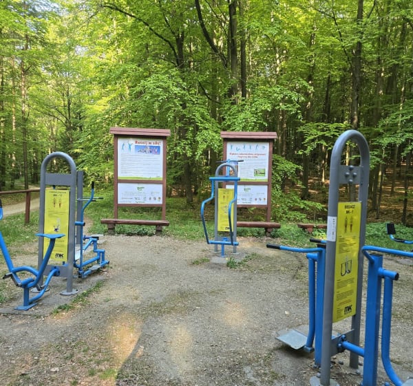 Do wieży Bismarcka - Żary - 1