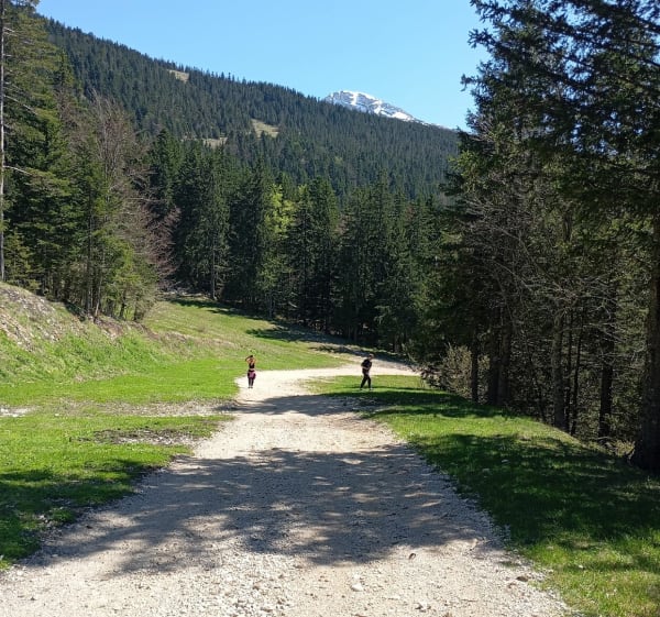 Balade sur piste à Villard-de-Lans - Villard-de-Lans - 1