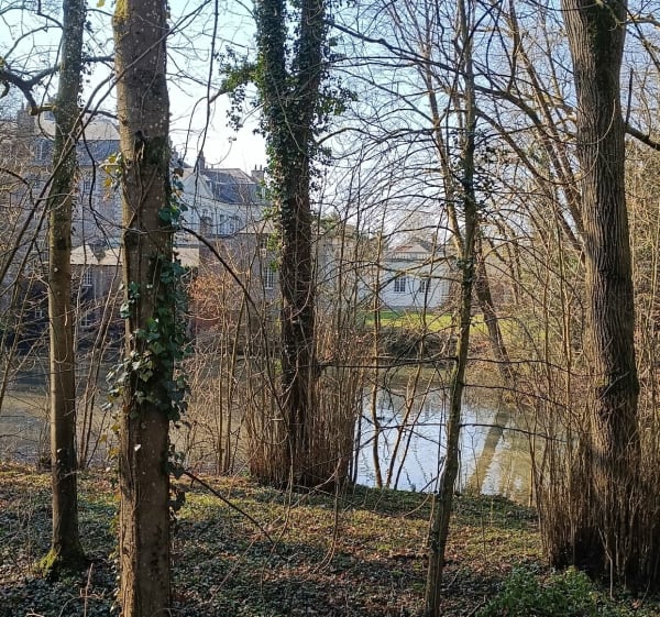 Château de Bomy et éoliennes - Bomy - 1