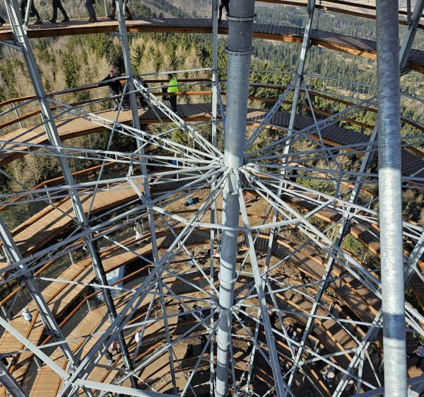 Wejście na Dzikowiec Wielki - Boguszów-Gorce - 1