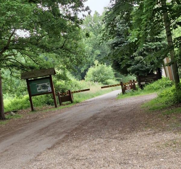 Forêt Saint-Étienne-du-Rouvray - Saint-Étienne-du-Rouvray - 1