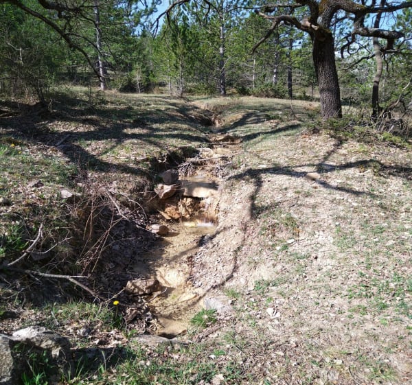 Les abords du Jabron - Noyers-sur-Jabron - 1