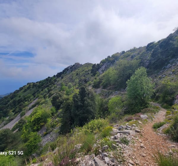 Grand mont - Menton - 1