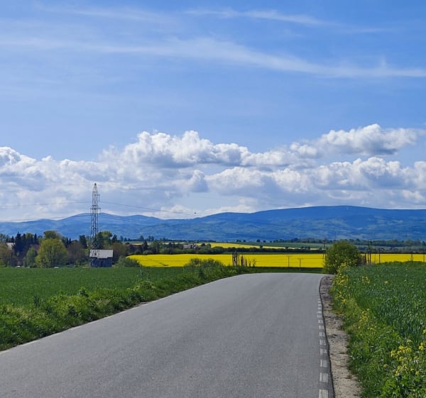 Pieszo, Pszenno i okolice - Pszenno - 1