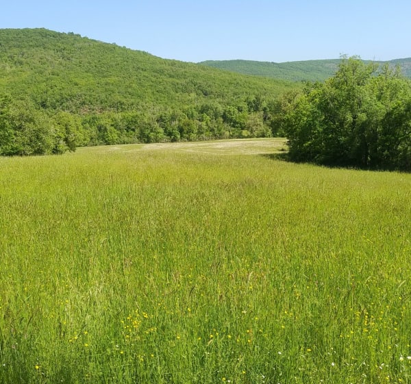 Dunes et Sentier de Maraval - Labarthe-Bleys - 1