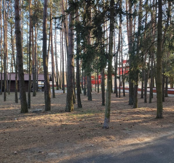 Wawrzkowizna koło  Bełchatowa - Wawrzkowizna - 1