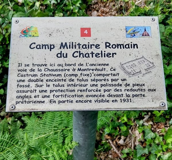 Sentier forestier du Bois de Leppo - Montrevault-sur-Èvre - 1