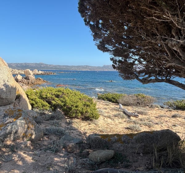 Petite balade à Ventilegne - Figari - 1