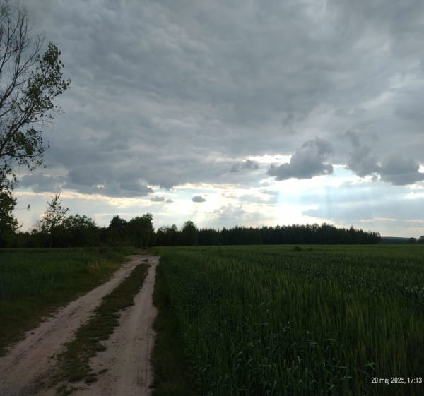 Boguszyce - Gosia - 1