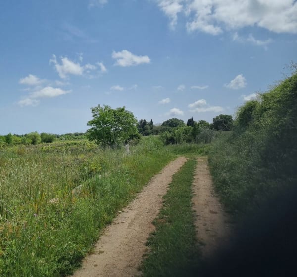Balade vtt juvignac- saint-georges d'orques- murviel- pignan - Juvignac - 1