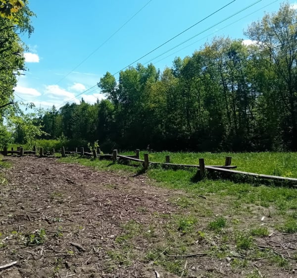 Pętla po Lasku Aniołowskim - Częstochowa - 1