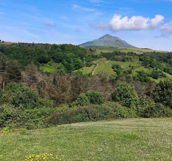 Le col d'Ibardin depuis Herburu - Urrugne - 1