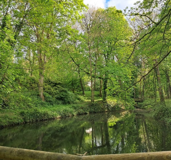 Balade dans la campagne de Villers-sur-Mer - Gonneville-sur-Mer - 1