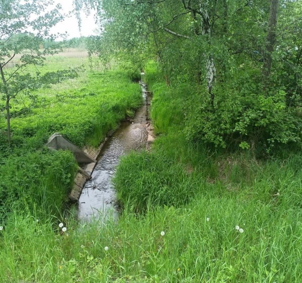 Żorska Rybnik - Rybnik - 1