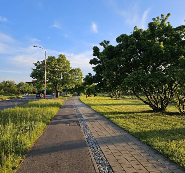 Stawy Jana na Nowe Gorki - pętla - Łódź - 1