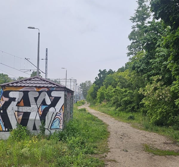 Lasek na Kole runda honorowa - Michał - 1