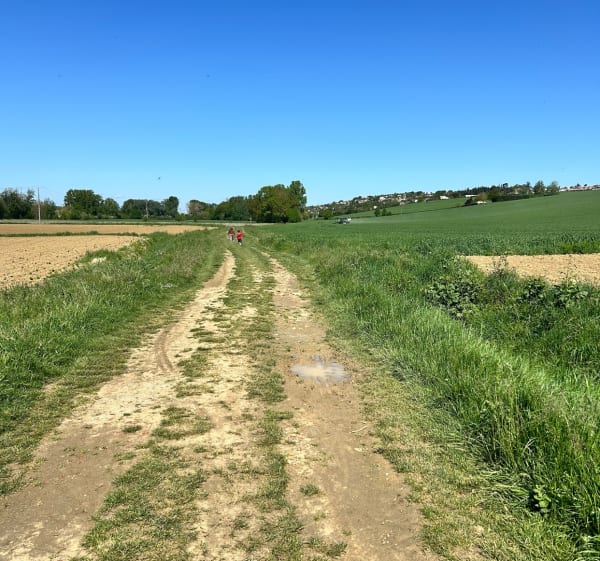 Autour d’Auzielle - Auzielle - 1