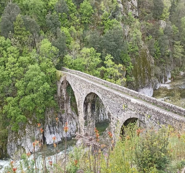 Jaujac, orgues, rivière et forêt - Jaujac - 1