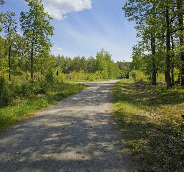 Szybka pętla - Płock - 1