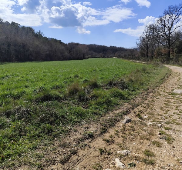 Les Sources de l'Huveaune - Saint-Zacharie - 1