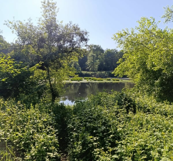 Jusqu'à Vichy sur la Via Allier - Billy - 1