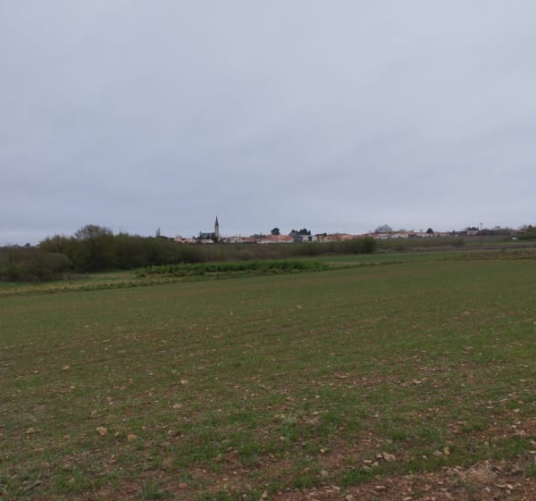 Boucle commune du Landreau - Le Landreau - 1
