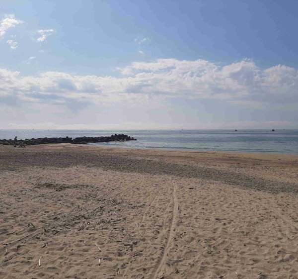 Balade vers la mer - Jacou - 1