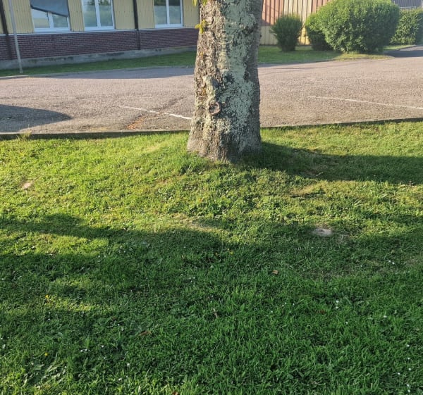 Voie verte entre Luneray et Gueures - Luneray - 1