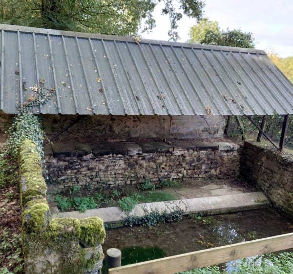 A partir de la croix de Bois Vert - Champagné-Saint-Hilaire - 1