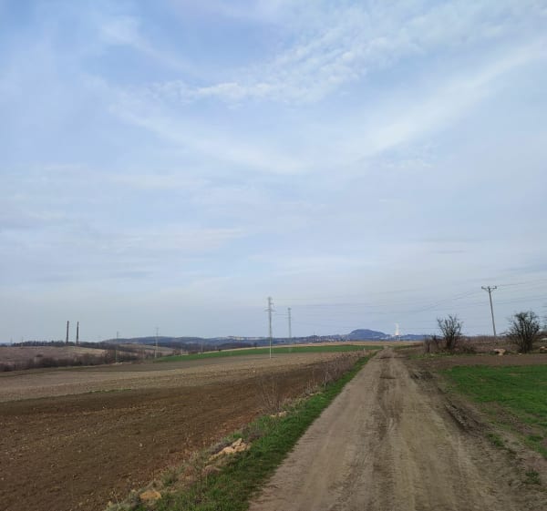 Dookoła Brynicy - Siemianowice Śląskie - 1