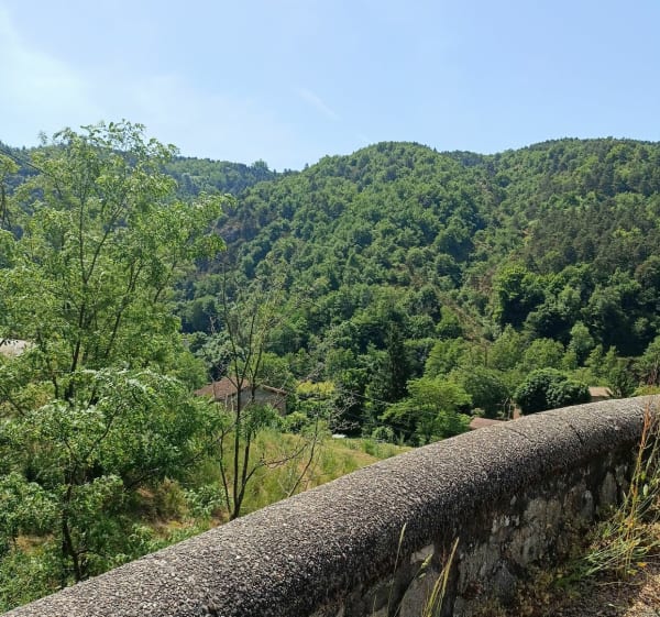 Autour de l'Adoux - Saint-Julien-en-Saint-Alban - 1
